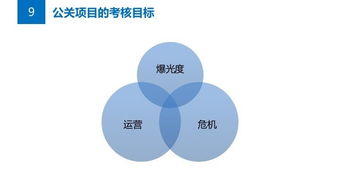 公關(guān)策劃實(shí)戰(zhàn)指南 從解決方案構(gòu)思到項(xiàng)目落地的全方位攻略