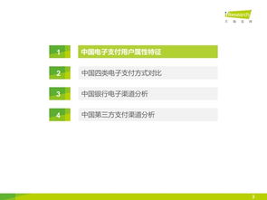 2015年中國(guó)電子支付用戶(hù)研究報(bào)告 電子支付密碼系統(tǒng)產(chǎn)品趨勢(shì)分析